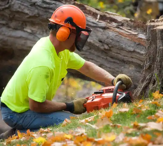 tree services Brinckerhoff